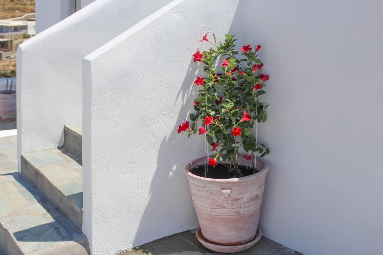 Crystal View Mykonos Aparthotel Mykonos Town Exterior photo